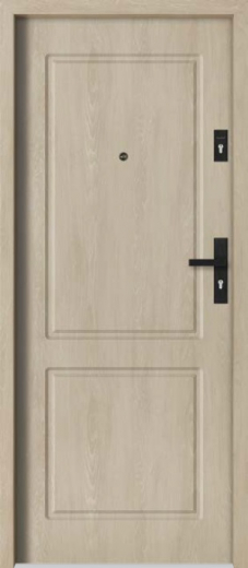Vchodové dveře BARAŃSKI S 201