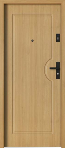 Vchodové dveře BARAŃSKI S 203
