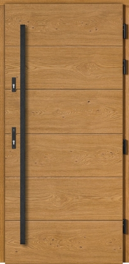 vchodové dřevěné dveře DOORSY PREDATOR 6